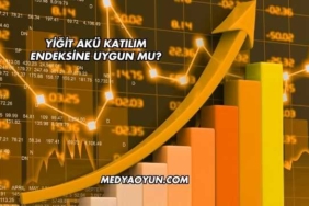 Yiğit Akü Katılım Endeksine Uygun mu?